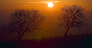 Day View Vol. II - A series by Josef-Stefan Kindler